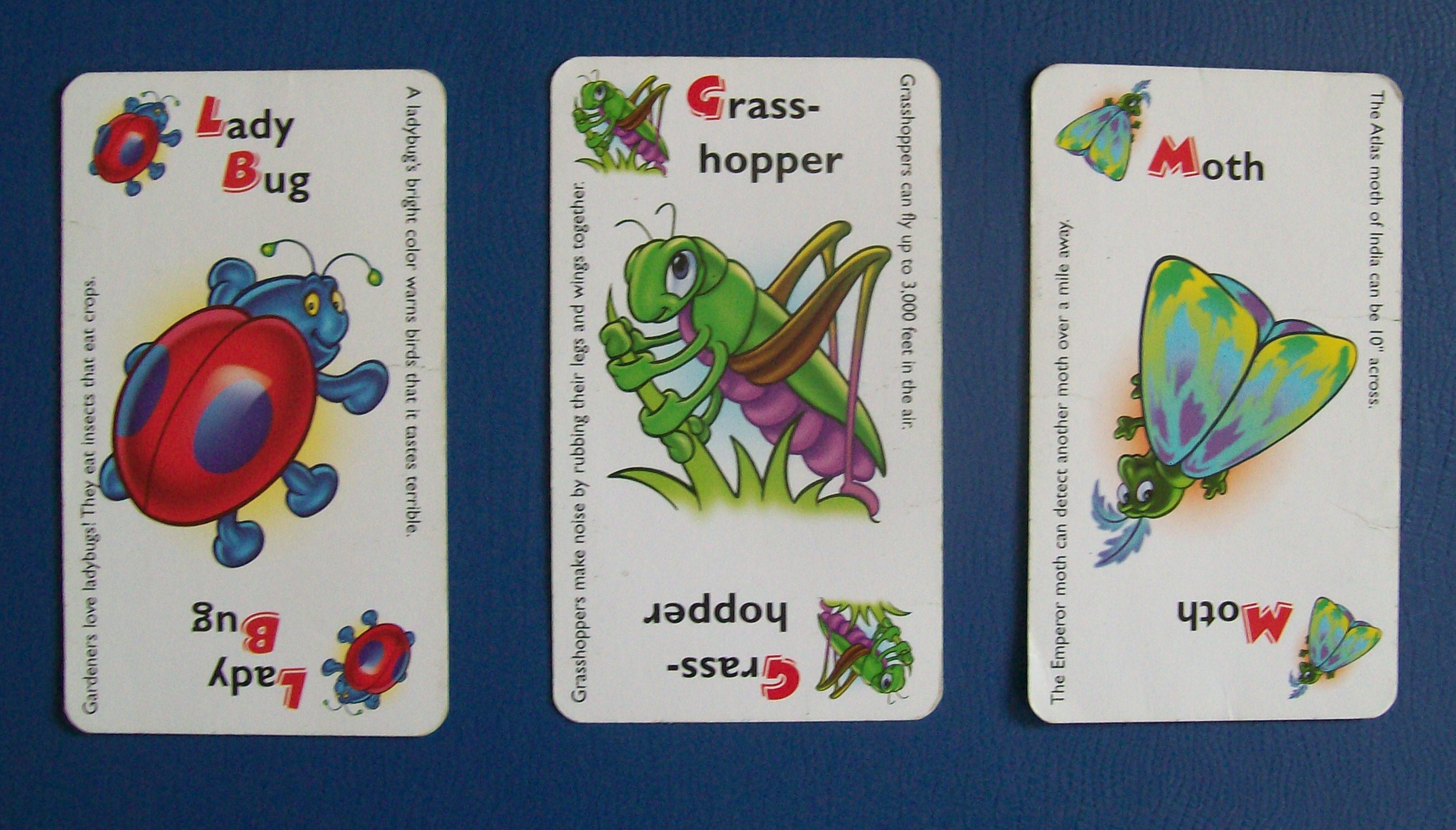 Don’t Bug Me Card Game for Children All About Fun and Games