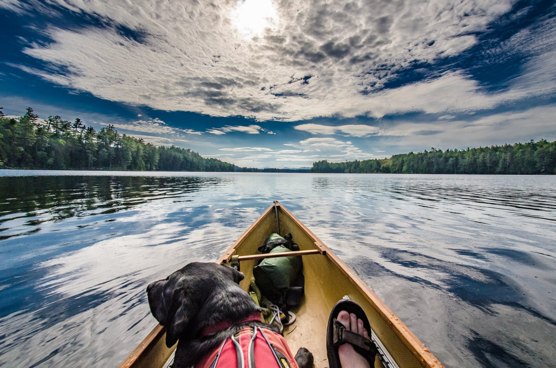 Best Places To Canoe In New York All About Lakes
