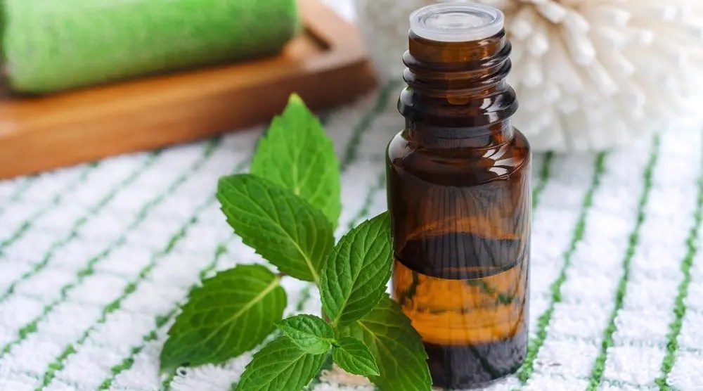 Awaken Your Senses with Mannatech’s Peppermint Essential Oil All