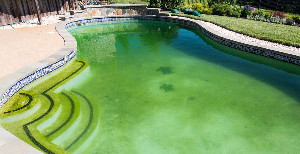 Why Is My Pool Green? Common Green Pool Water Causes