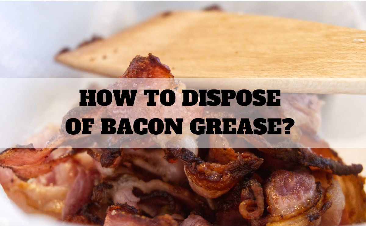 How to Dispose of Bacon Grease?