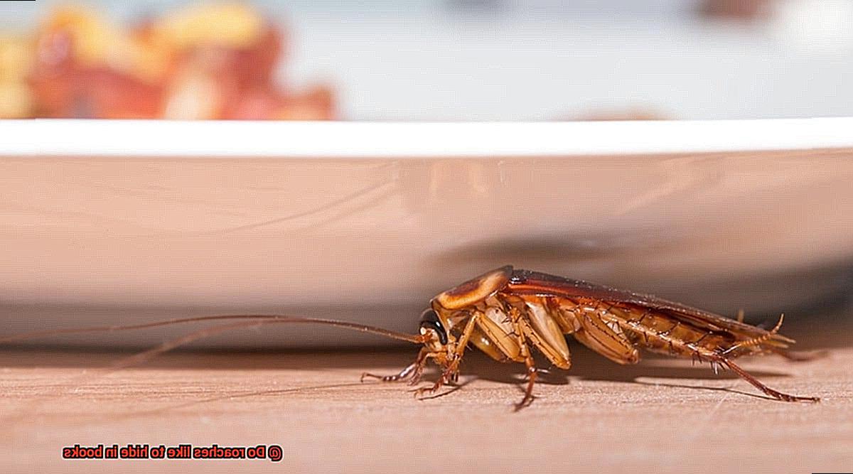 Do roaches like to hide in books? All About Roaches