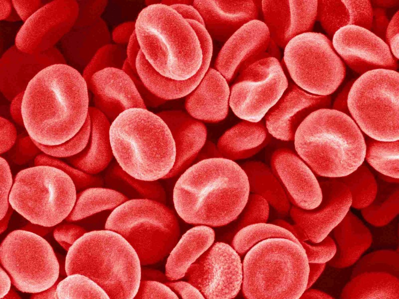 Maintaining a good platelet count is essential in helping your body