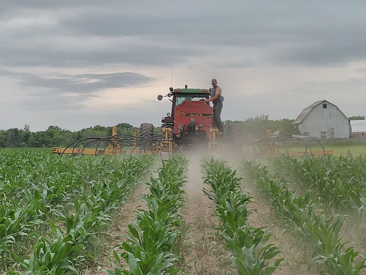 Interseeding Cover Crops Allamakee SWCD
