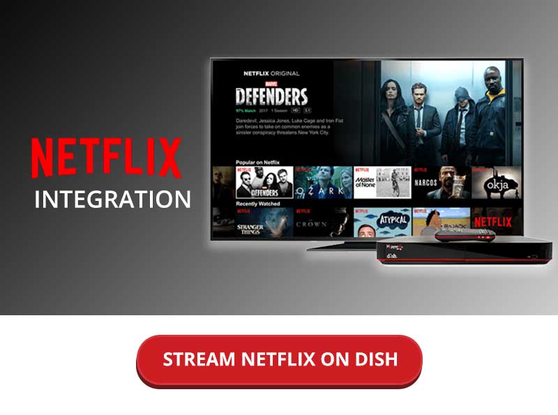 The Best Documentaries to Watch on Netflix in August 2022