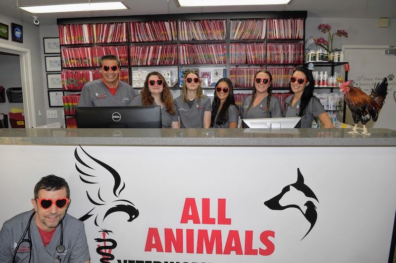 Holistic Veterinary Clinic Calabasas at Douglas Williams blog