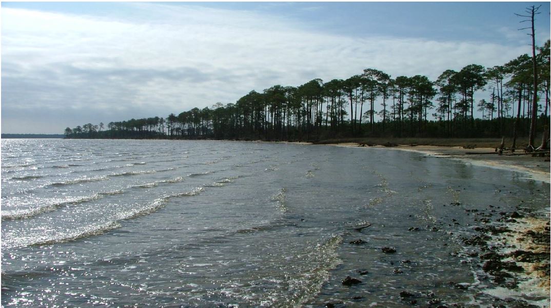 Bay County Florida Land for Sale in Florida — West Coast of Florida