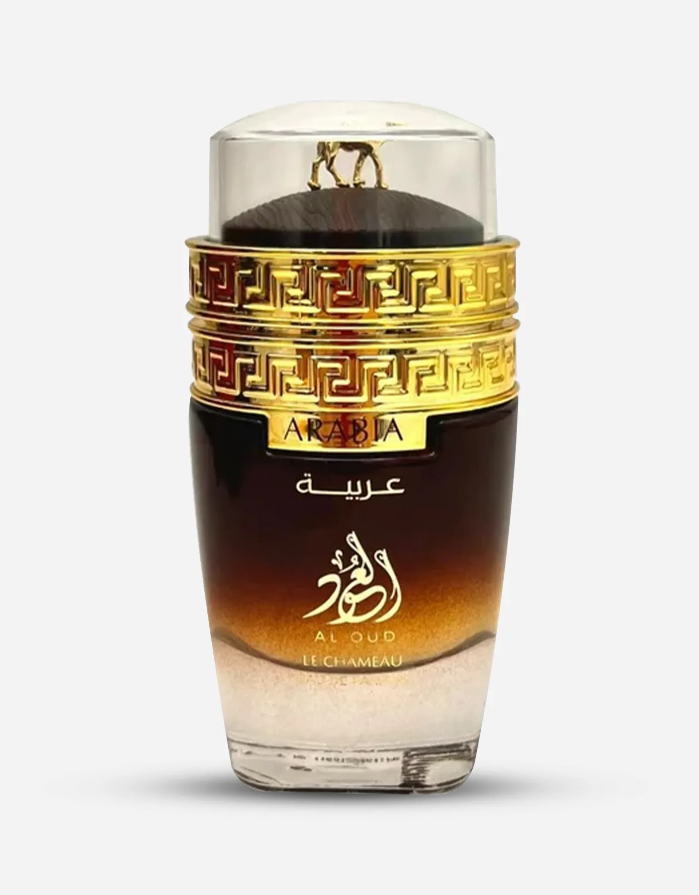 Le Chameau Arabia Al Oud EDP 100ML for Men All Arabic
