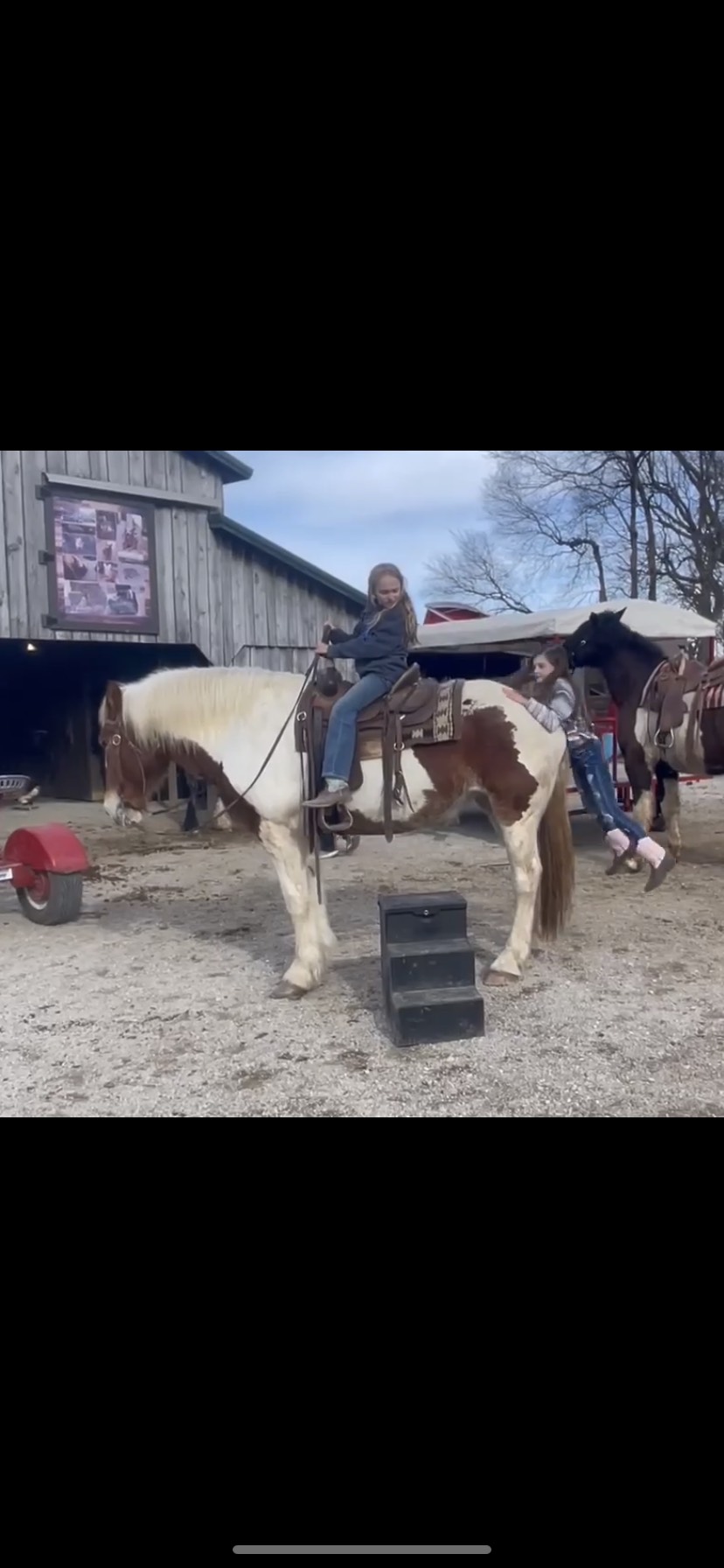 Annie Oakley All Around Equine