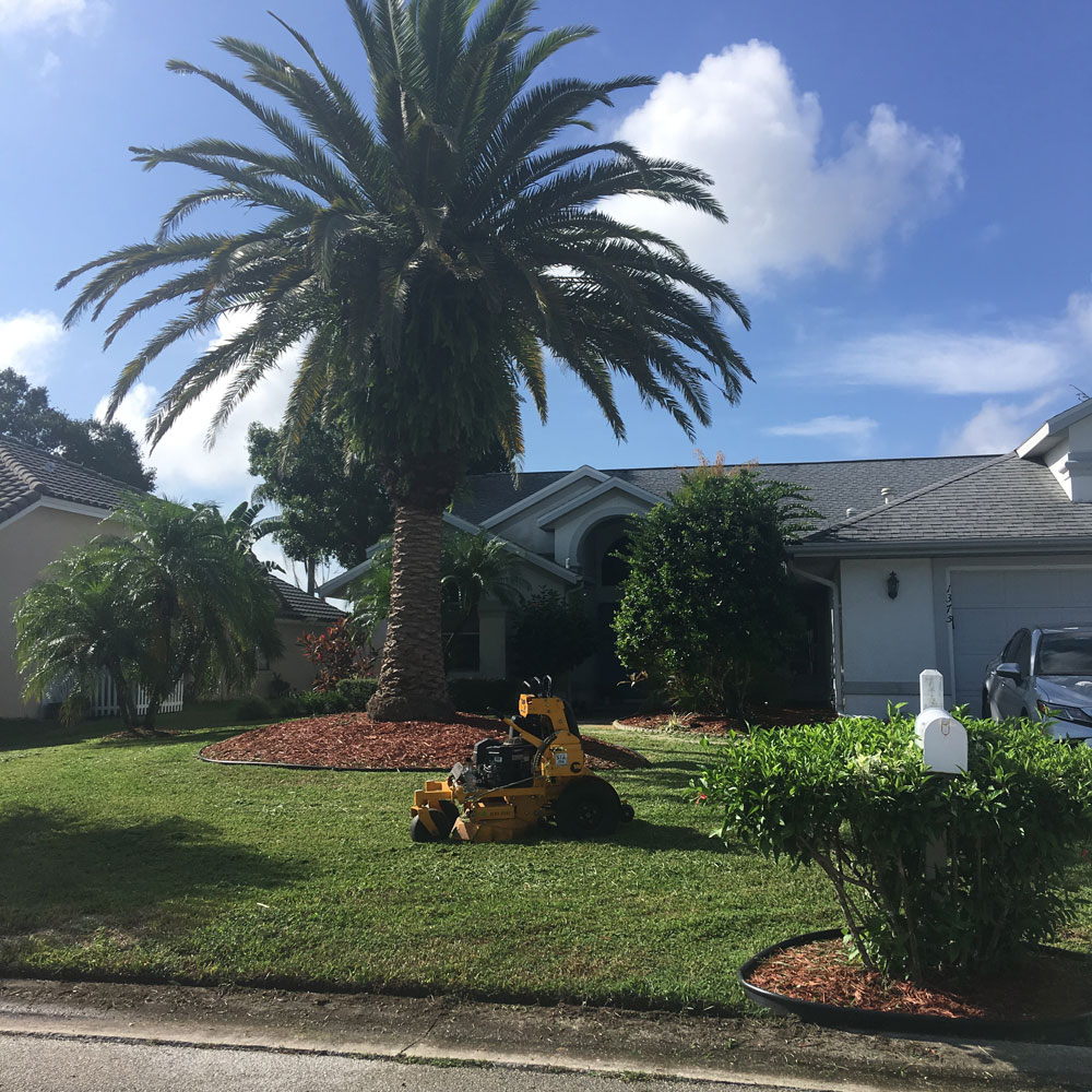 Gallery All Around Lawn Care and Landscape Maintenance
