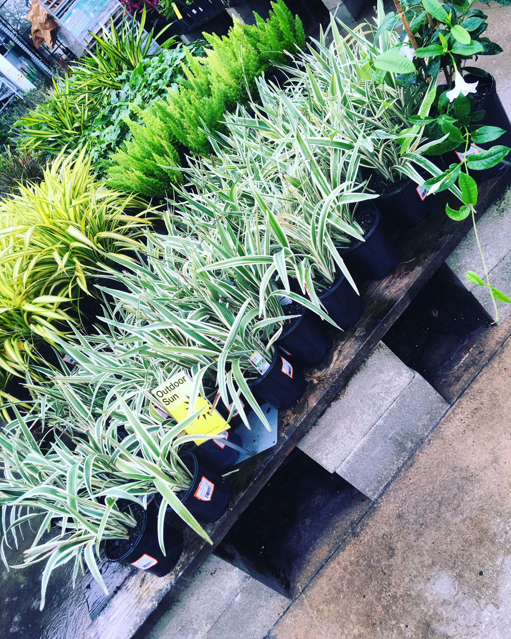 Gallery All Around Lawn Care and Landscape Maintenance