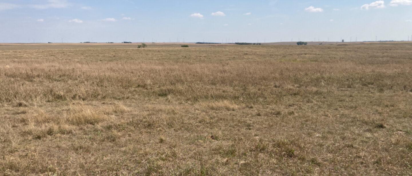 1,078.5+/ Acre Brule County, SD Online Only Land Auction