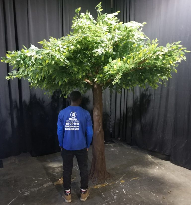 10' Artificial Green Ficus Tree AER Tent & Event Rentals Inc