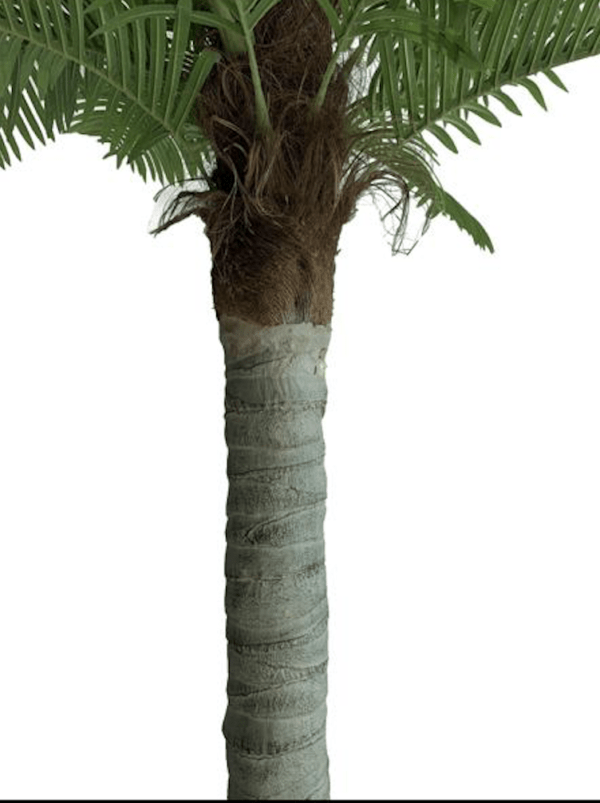 Artificial Palm Tree AER Tent & Event Rentals Inc