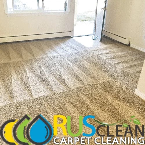 Carpet Cleaning 29 Room Carpet Cleaning Houston TX Allcarpetsrus