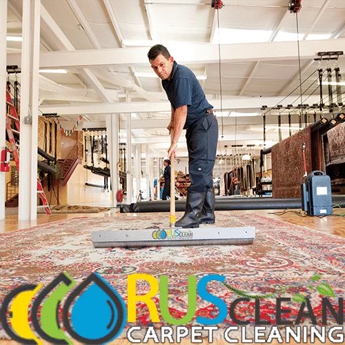 Rug Cleaning in Houston, TX Allcarpetsrus
