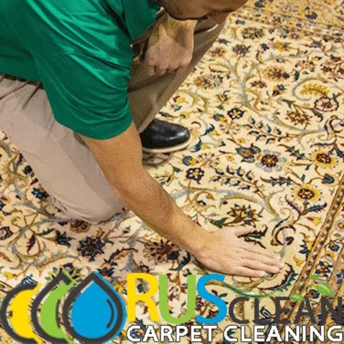 Rug Cleaning in Houston, TX Allcarpetsrus