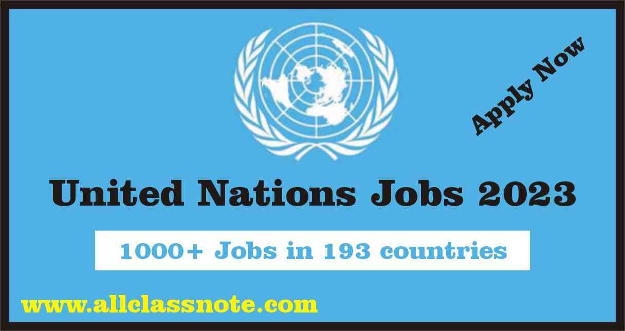 United Nations Jobs 2023 (Apply Now)