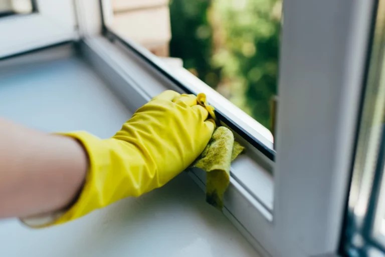 How To Remove Mould On Windows All Clean Services