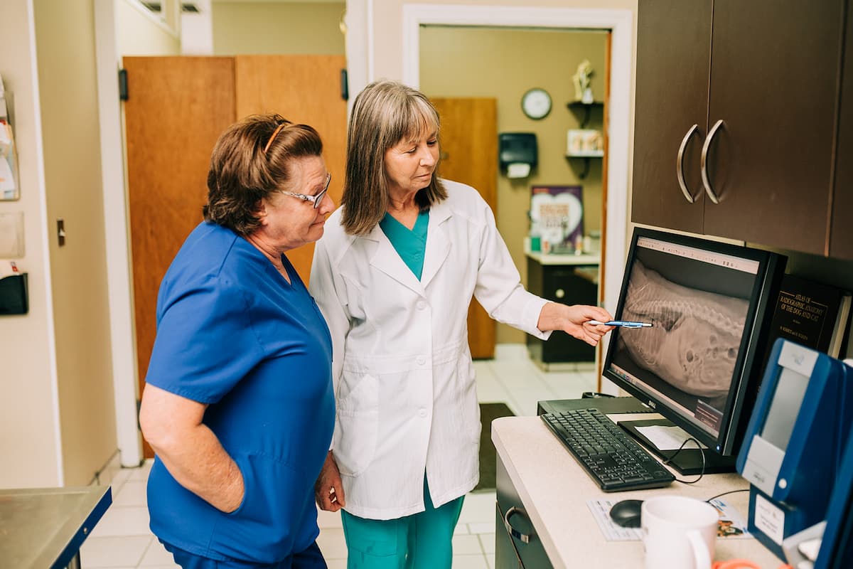 All County Animal Hospital, Veterinarian in Brooksville, FL