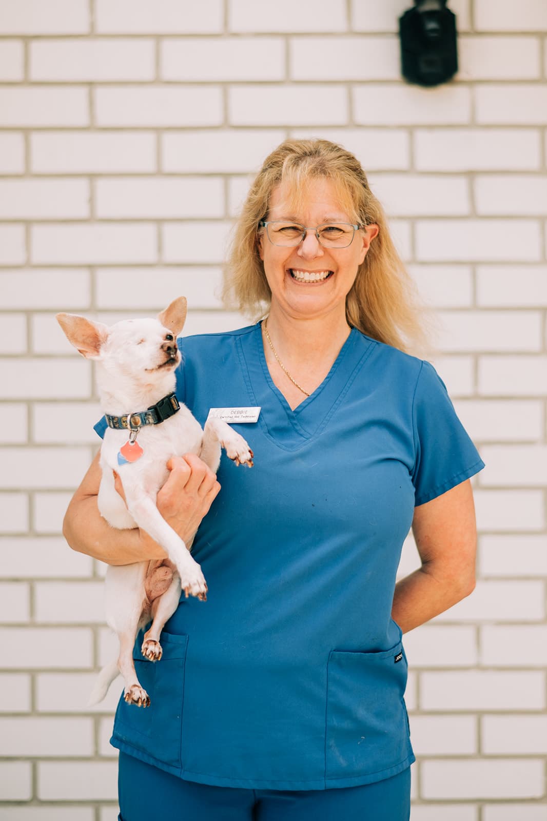 Meet Our Team All County Animal Hospital, Veterinarian in Brooksville, FL