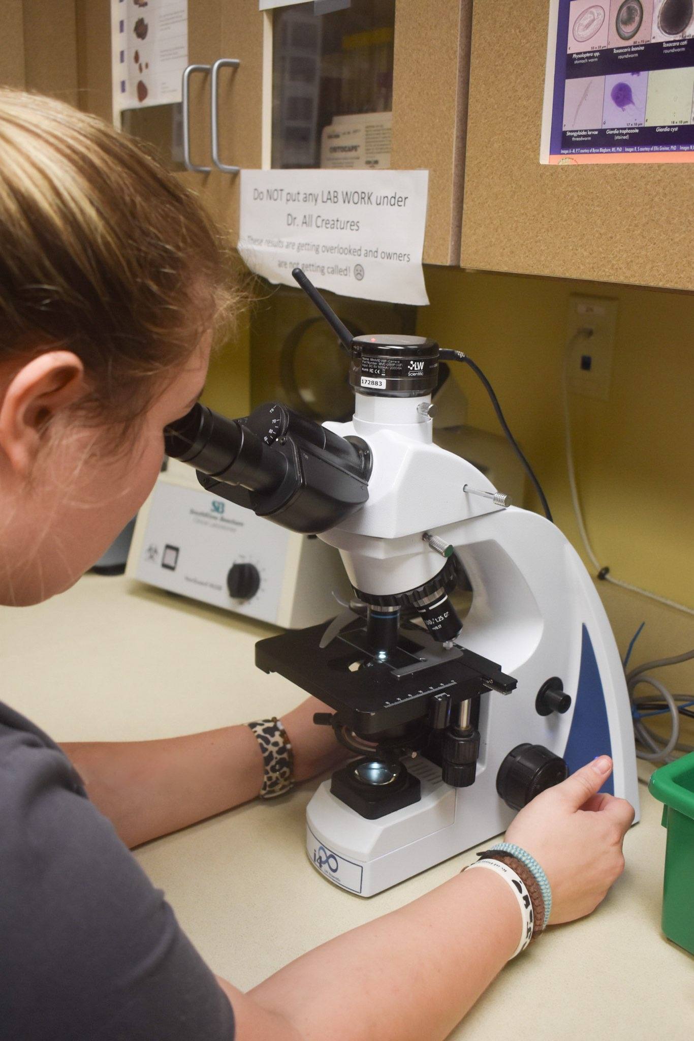 Take a Tour of our Bowling Green Veterinary Hospital!