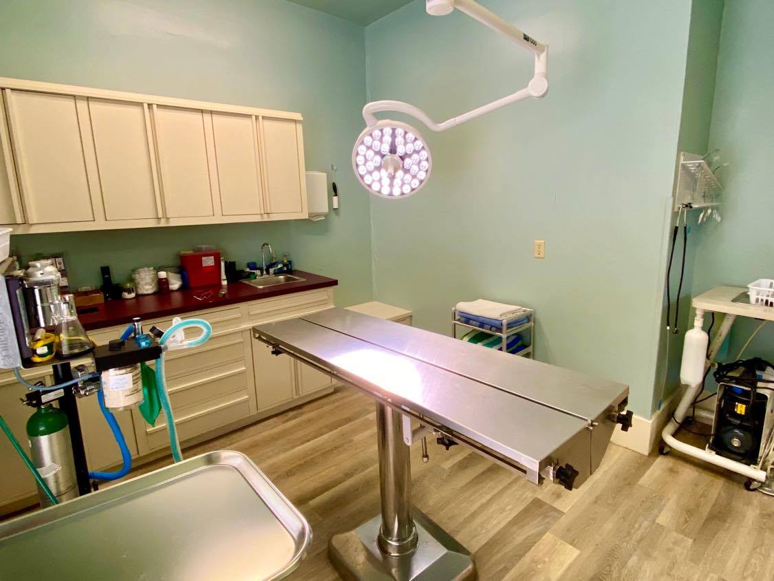 Our Facilities All Creatures Veterinary Clinic Siloam Veterinarian