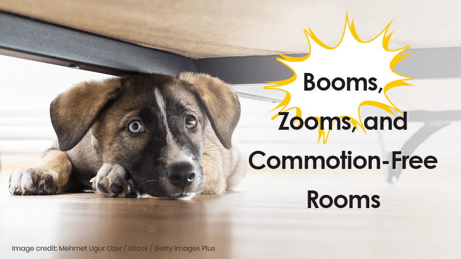 Booms, Zooms, and CommotionFree Rooms All Creatures Veterinary