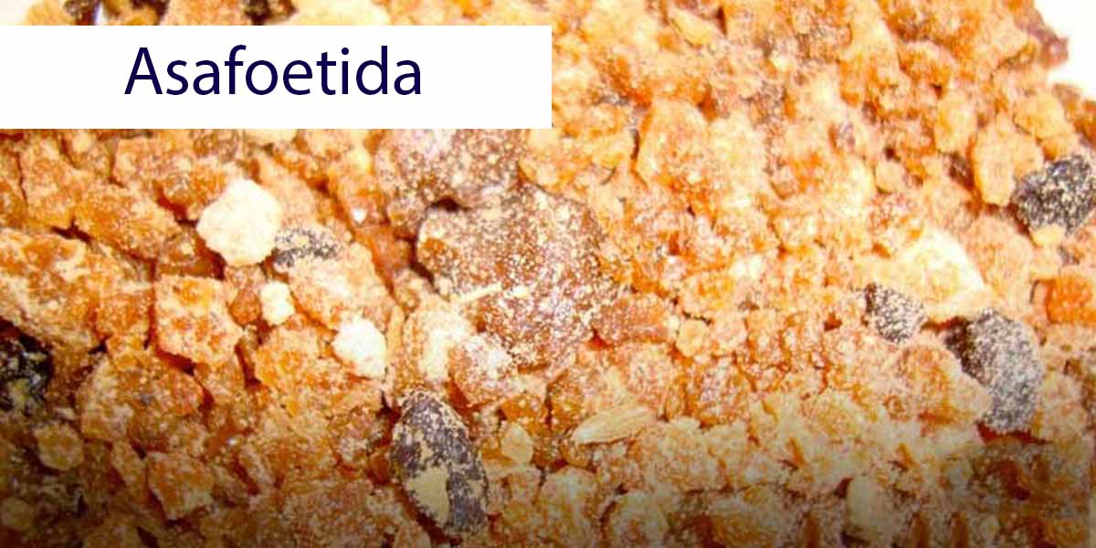 Gourmet Meaning In Hindi Basic Hindi Words for Beginners