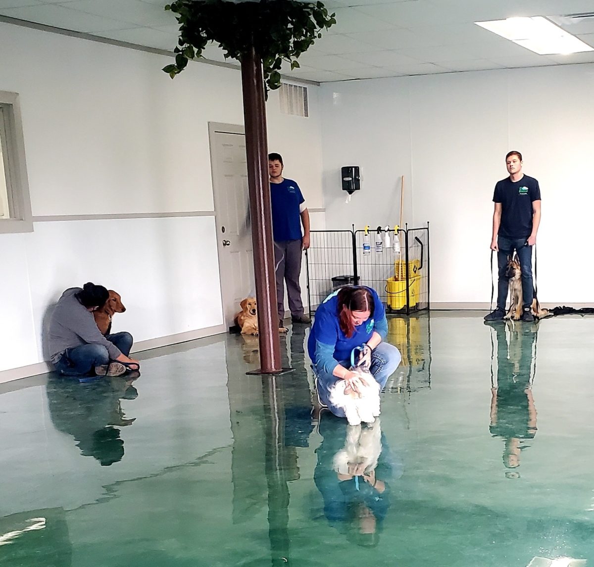 What is Marker Training? ScienceBased System for Training Your Dog