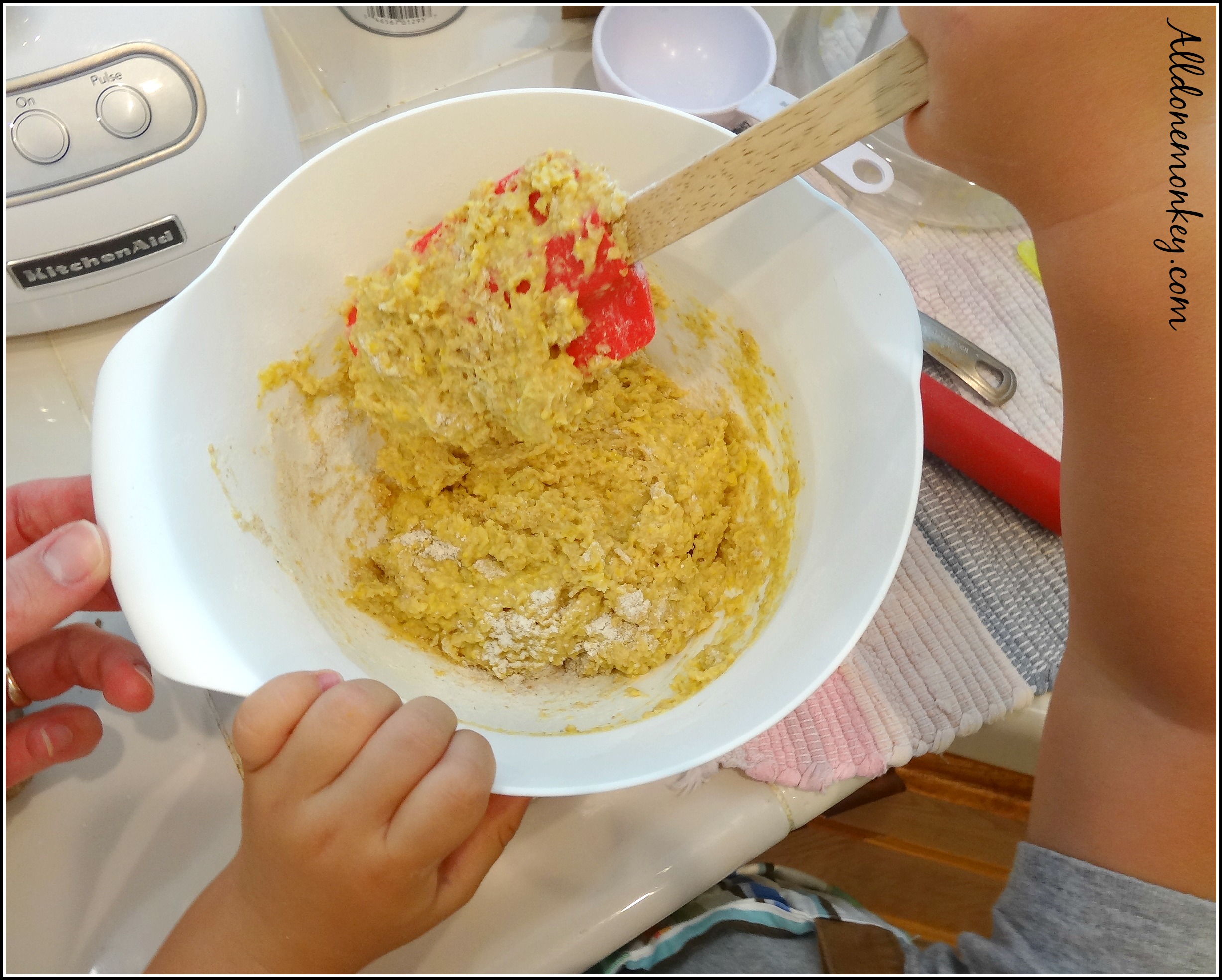 South Africa Mealie Bread Recipe and Favorite Books All Done Monkey