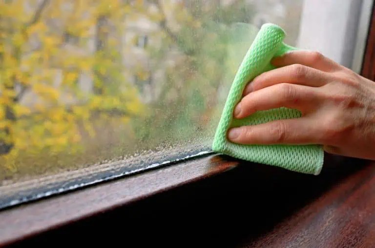 What type of damp do you have? All Dry Damp Proofing
