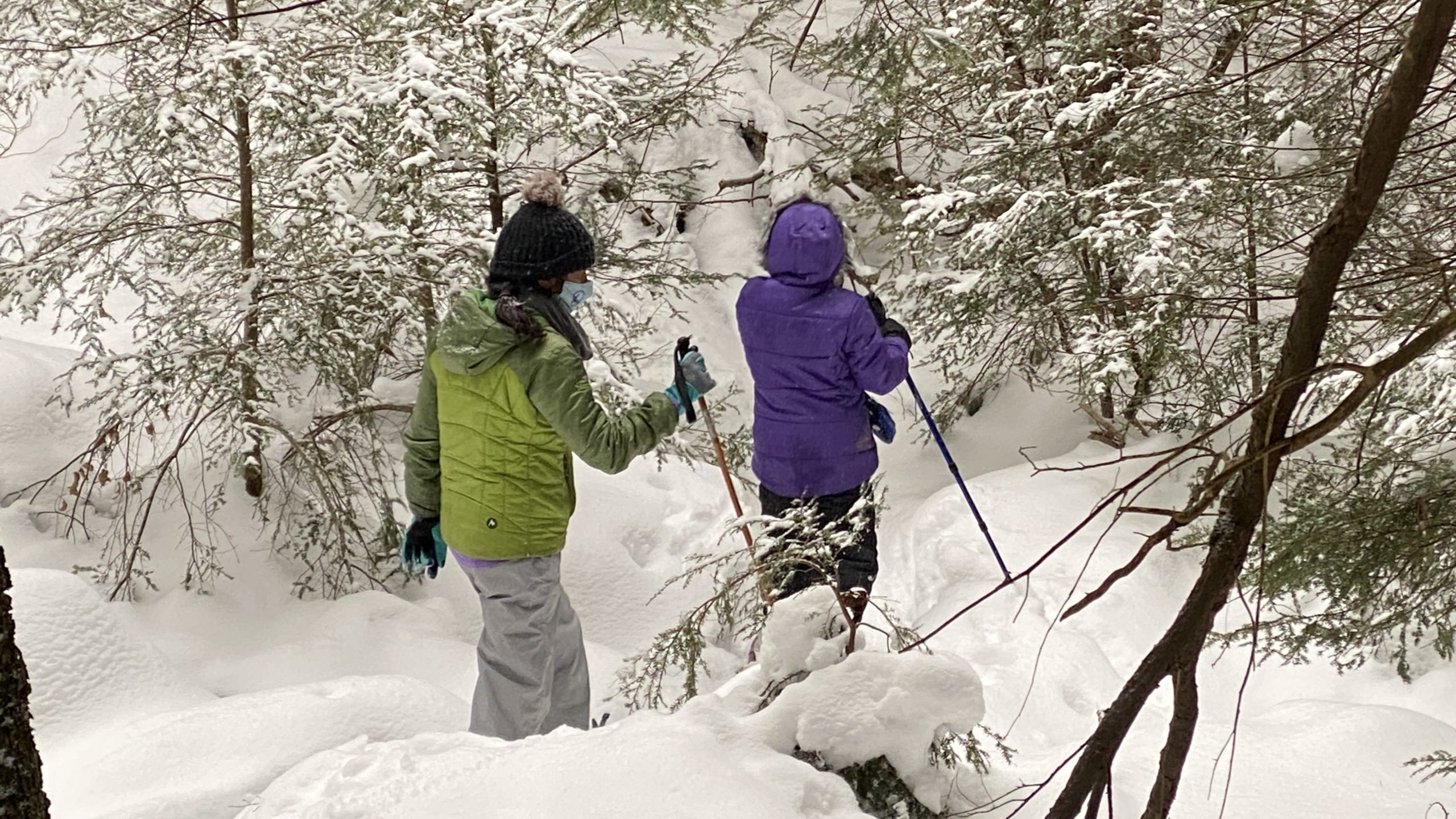 Snow Report Archives All Earth Eco Tours