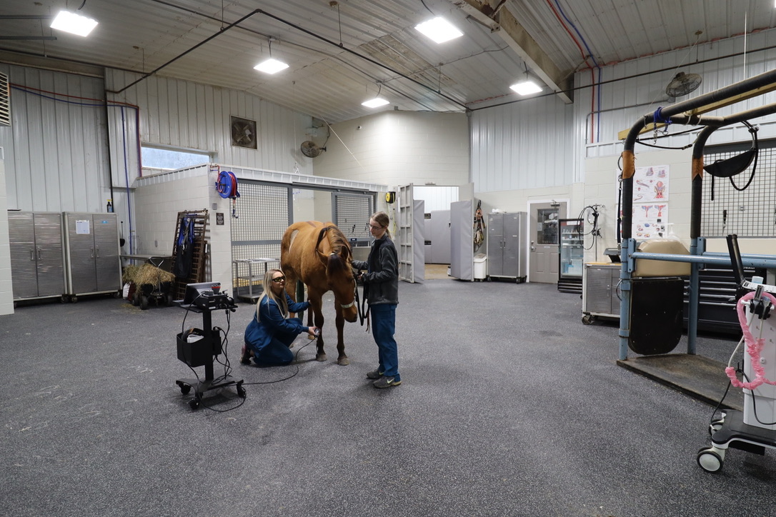 Animal Hospital 24 Hour Allegheny Equine Veterinary Service