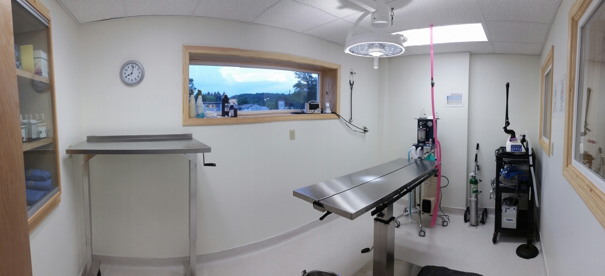 Virtual Hospital Tour Veterinarian Intensive Care Stalls Allegheny Equine Veterinary Service