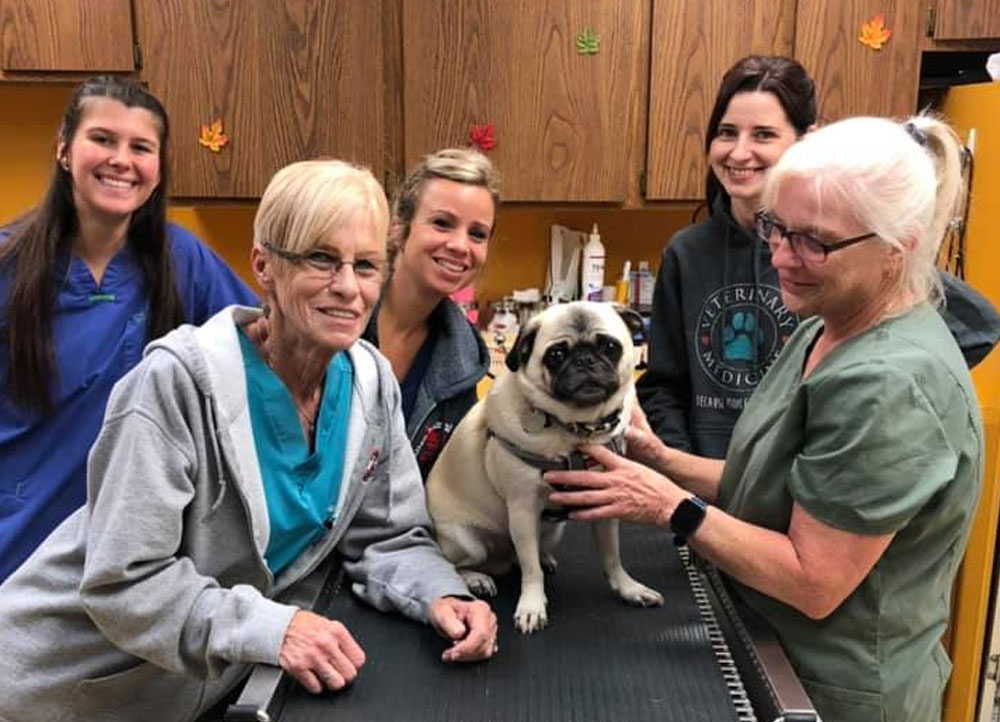 Home 2 Vet in Livonia Allen Animal Hospital