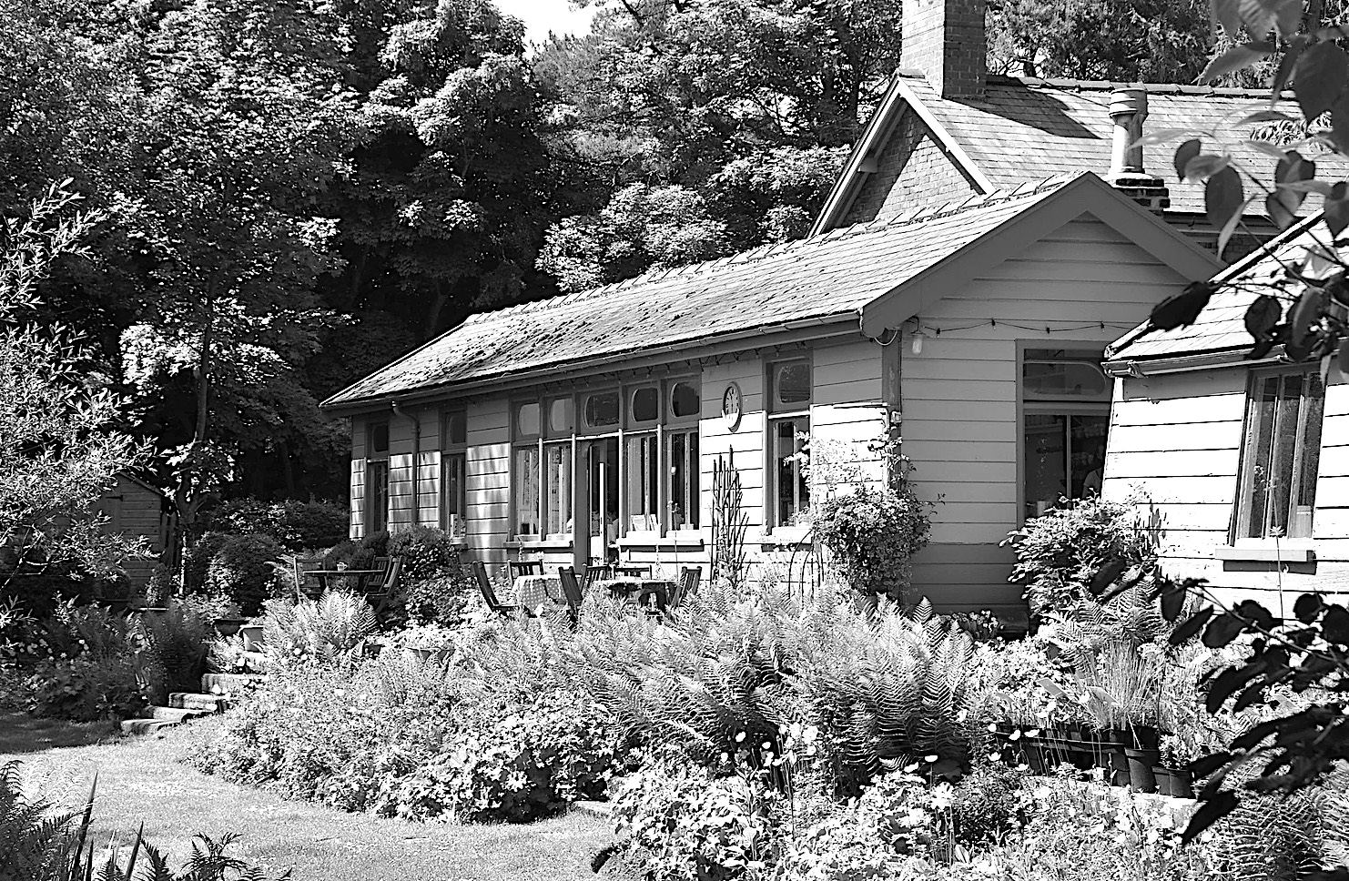The Garden Station, Langley Allendale Diary