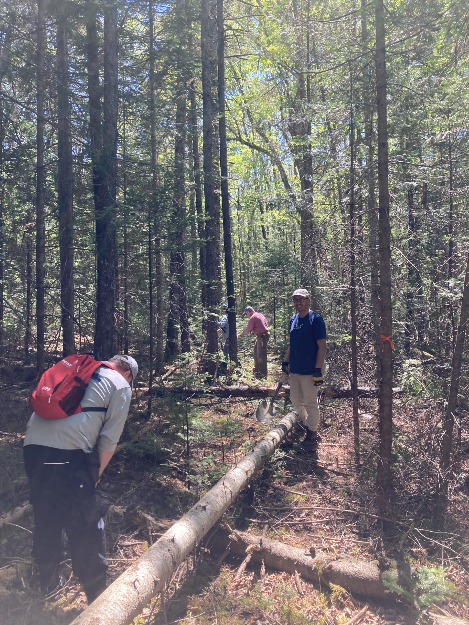 Trail Clearing With River Land Trust at Weskeag Headlands