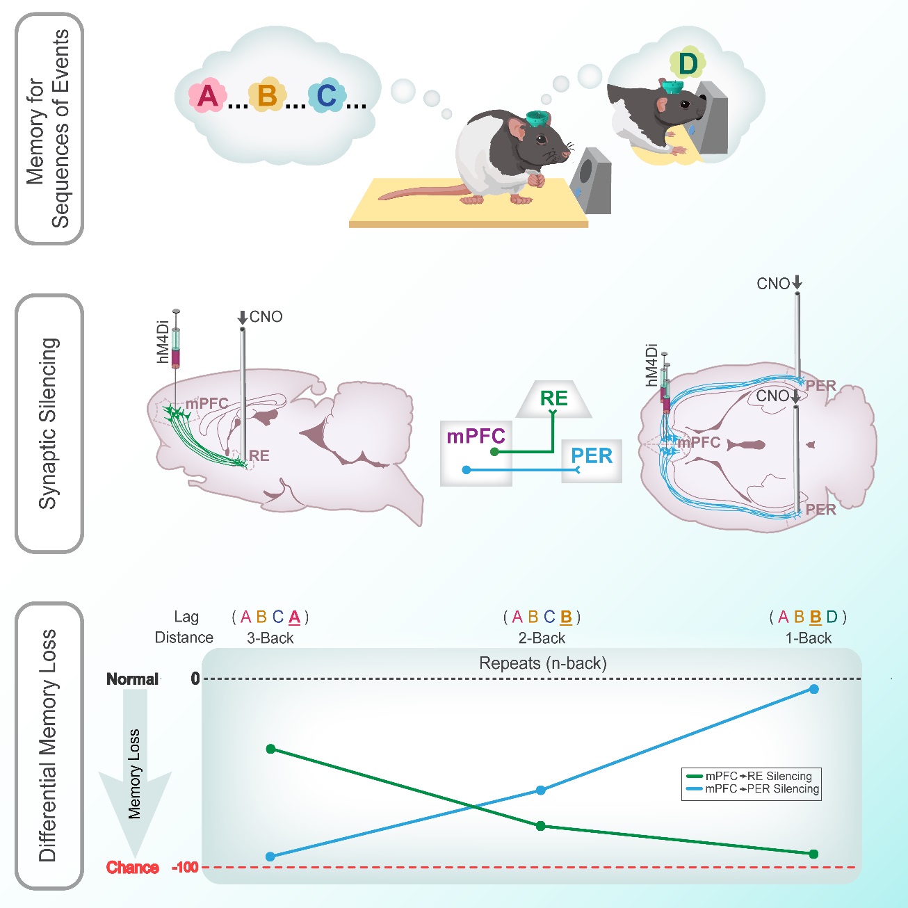 The Neurobiology of Memory for Time Allen Neurocircuitry & Cognition Lab