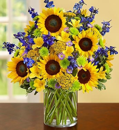 Brighten Your Day with Sunflowers Allen's Flowers