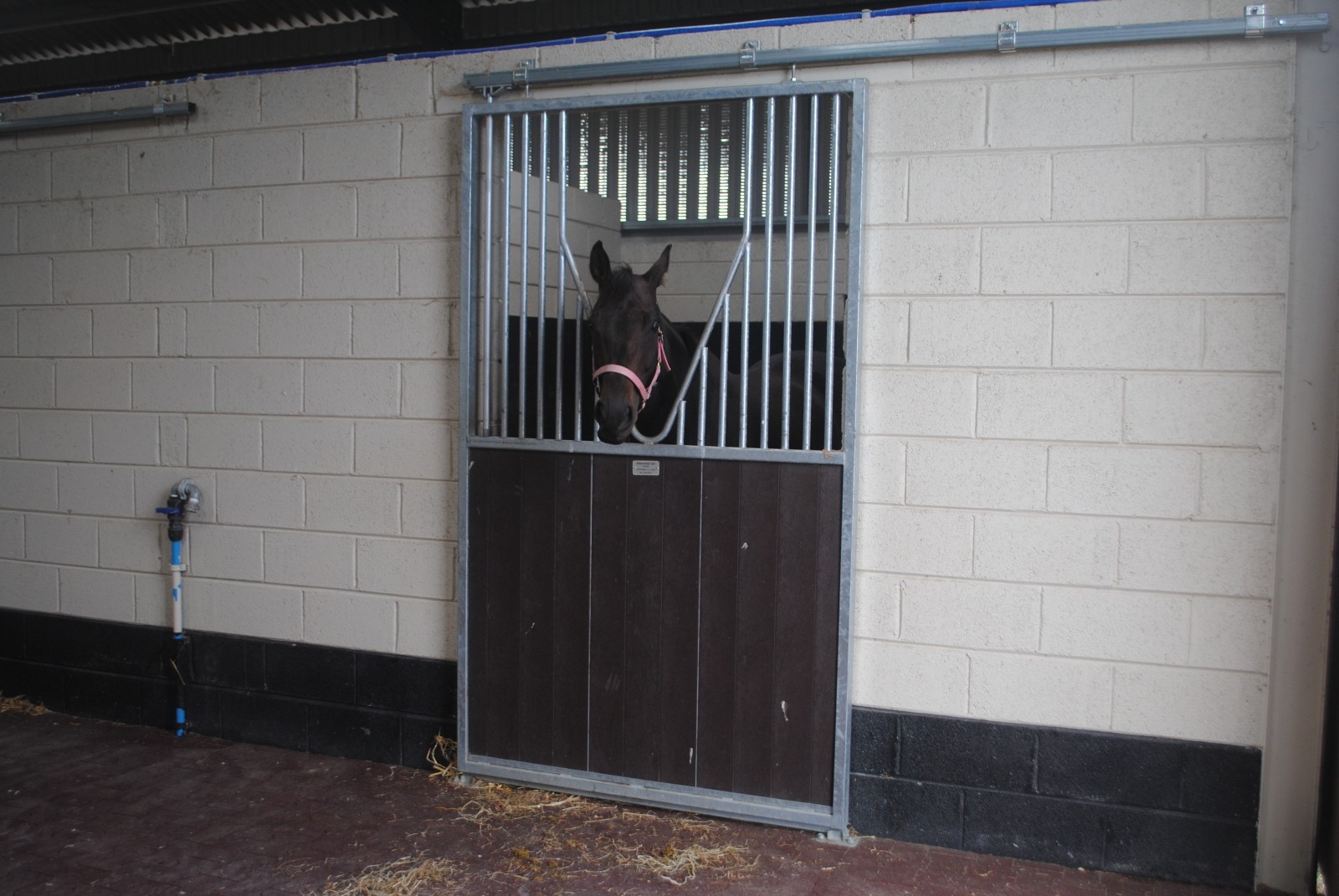 Stable Doors Allenweld Quality Equine and Agri Products