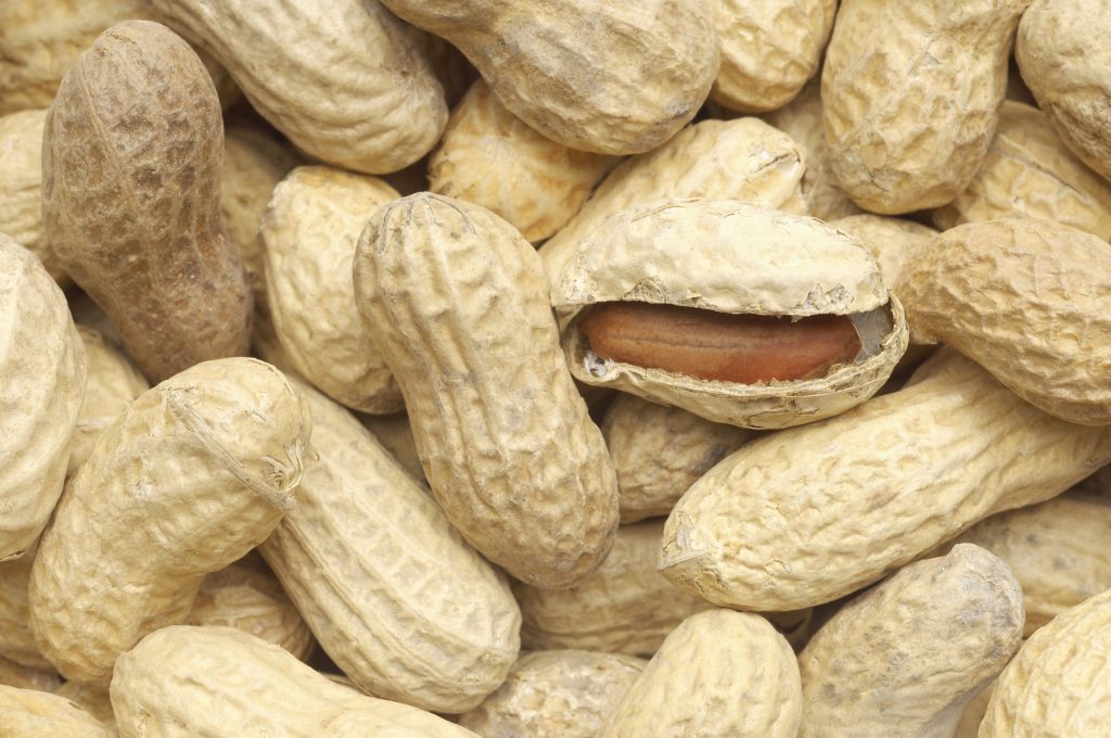 All About Peanut Allergy Allergic Living