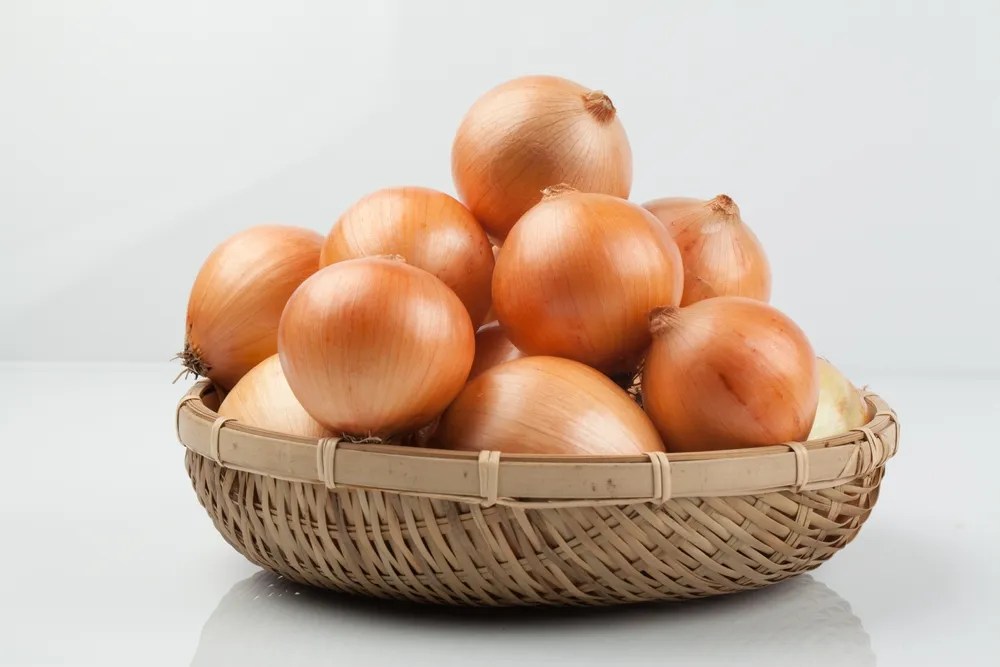 Onion Intolerance Astonishing Causes, Symptoms, and Treatment Allergy Medication Guide