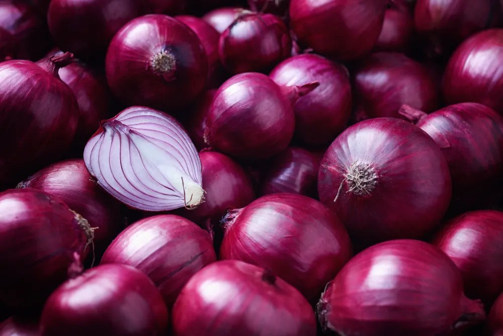 Onion Intolerance Astonishing Causes, Symptoms, and Treatment Allergy Medication Guide