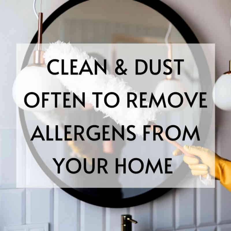 clean and dust often Allergy Preventions