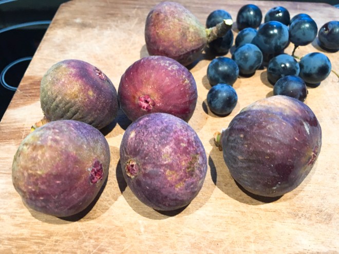 Feigen wild pflücken, worauf achten?