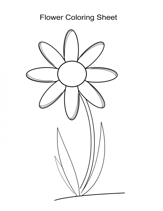 10 Flower Coloring Sheets for Girls and Boys ALL ESL