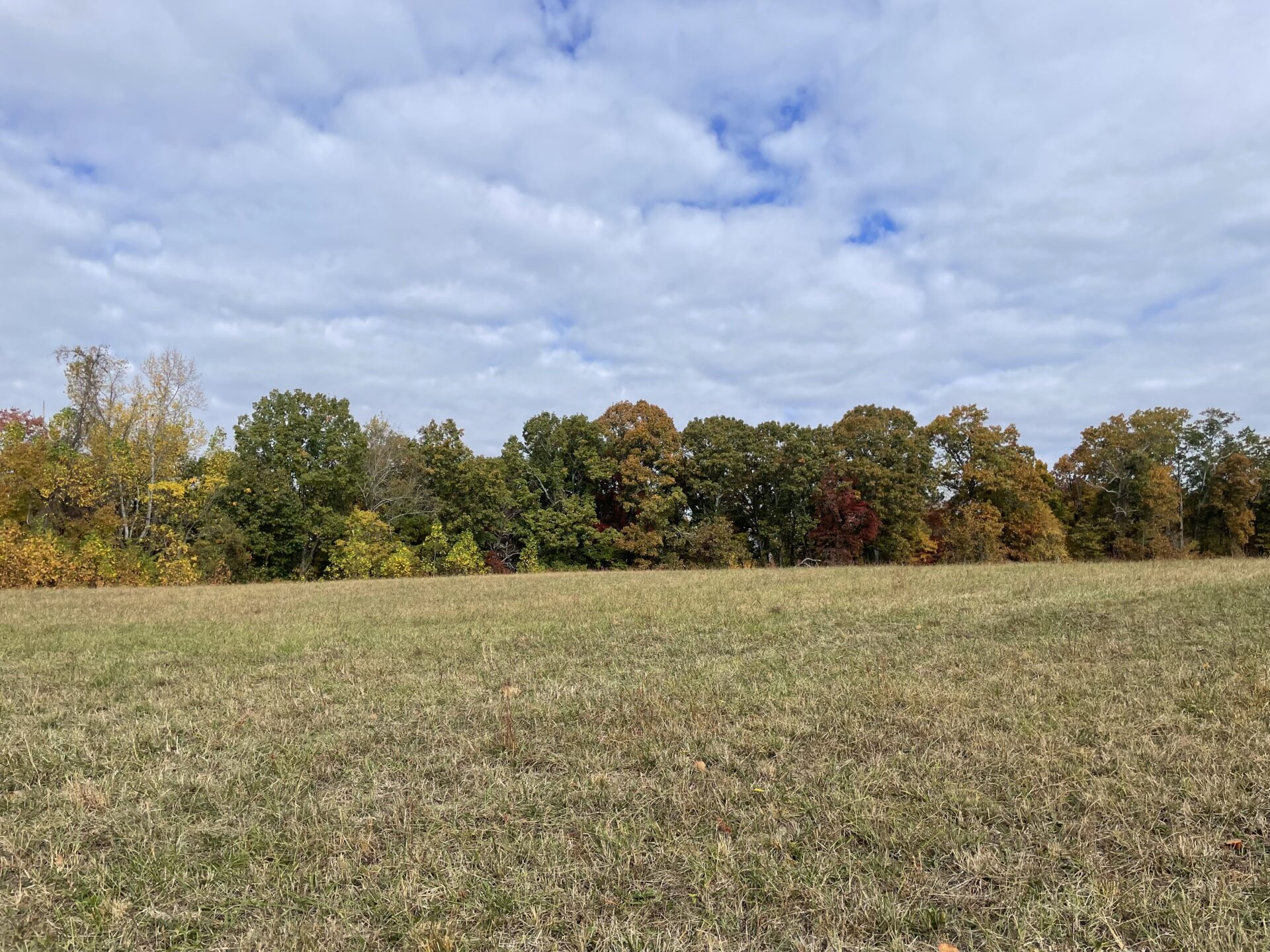 Moore Ridge, Roane County Alley Realty & Auction