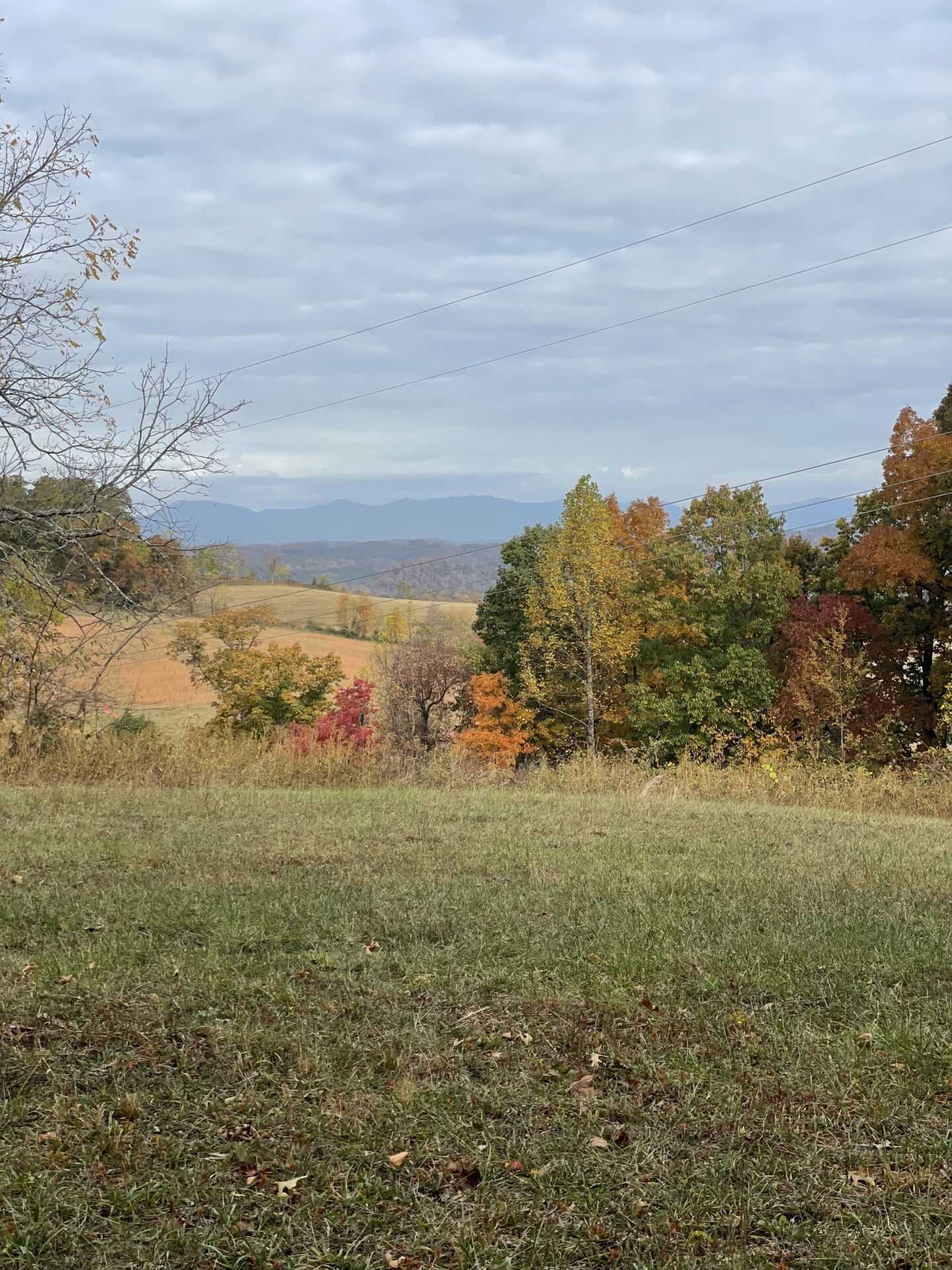 Moore Ridge, Roane County Alley Realty & Auction