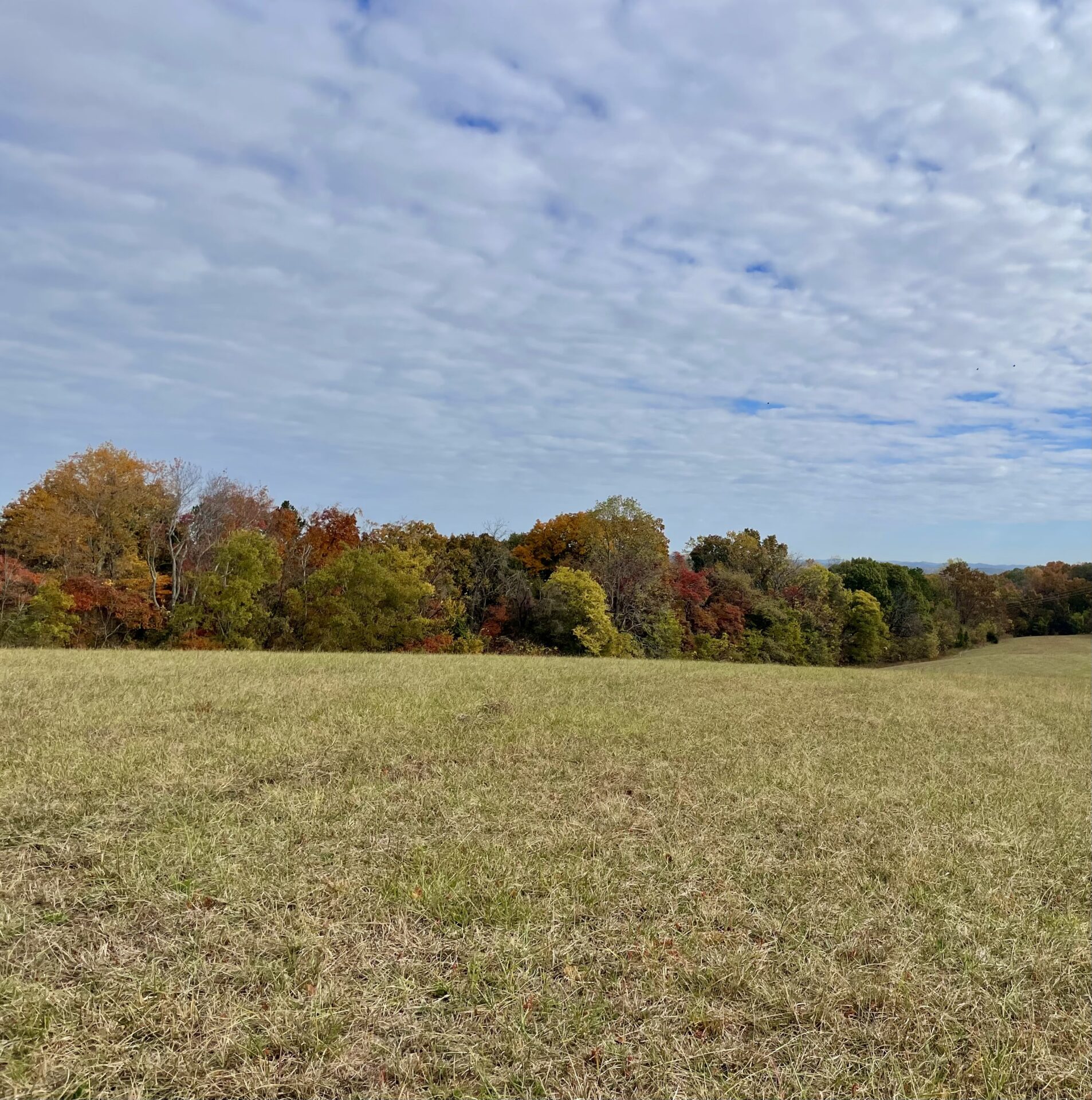 Moore Ridge, Roane County Alley Realty & Auction